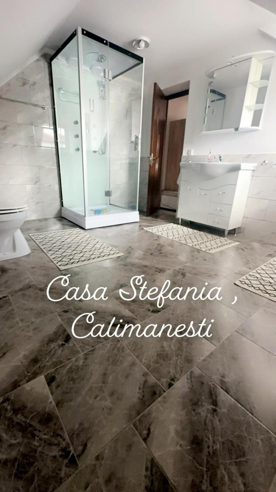 CălimăneştiCasa Stefania 1アパートメント エクステリア 写真